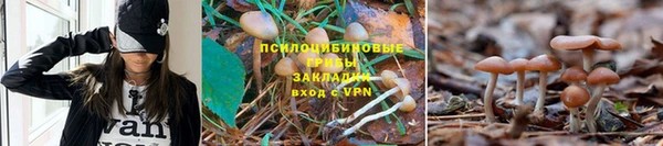 герыч Белоозёрский