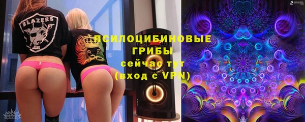 марки lsd Белокуриха